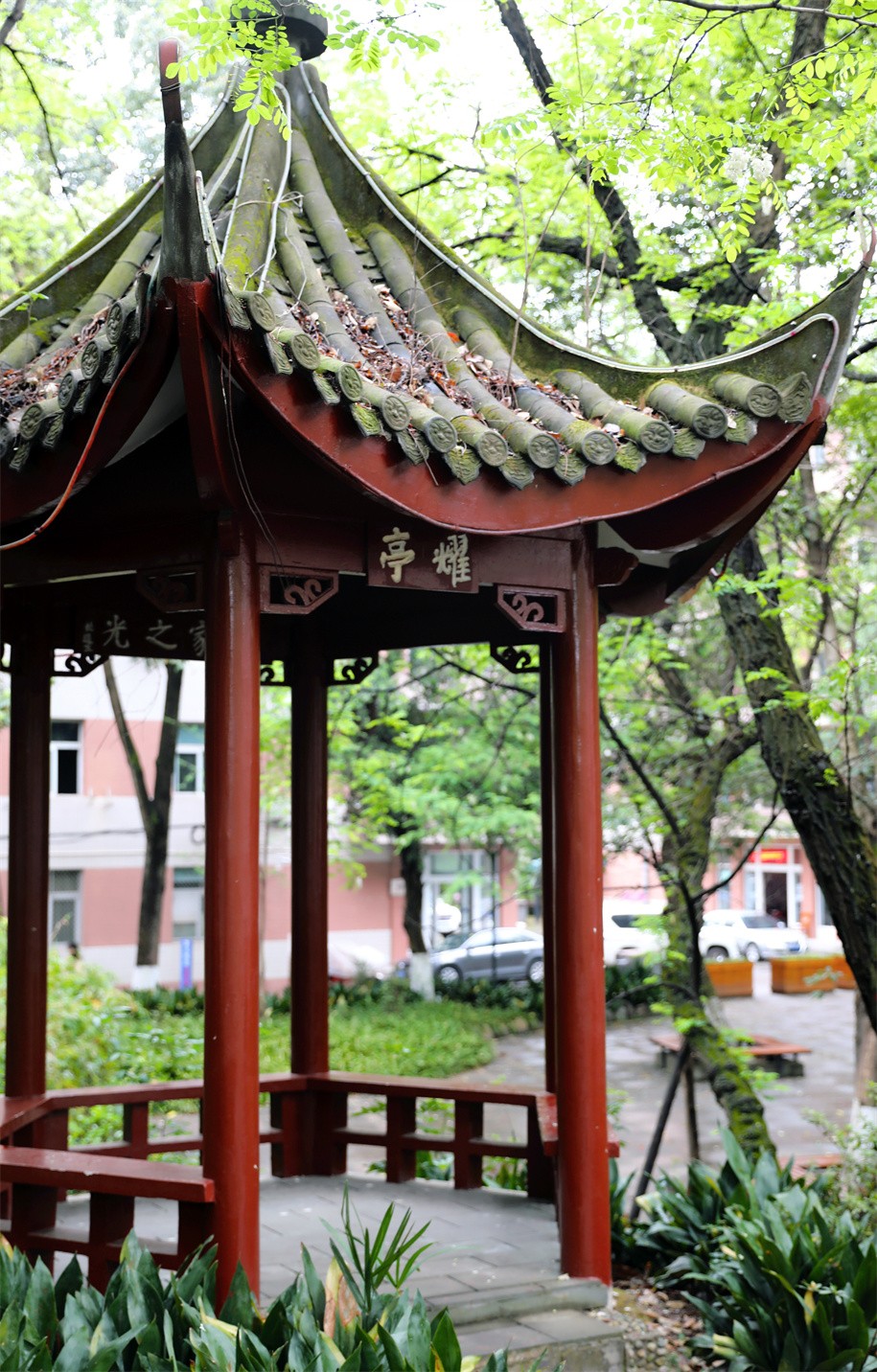 1P1A8182_副本.jpg